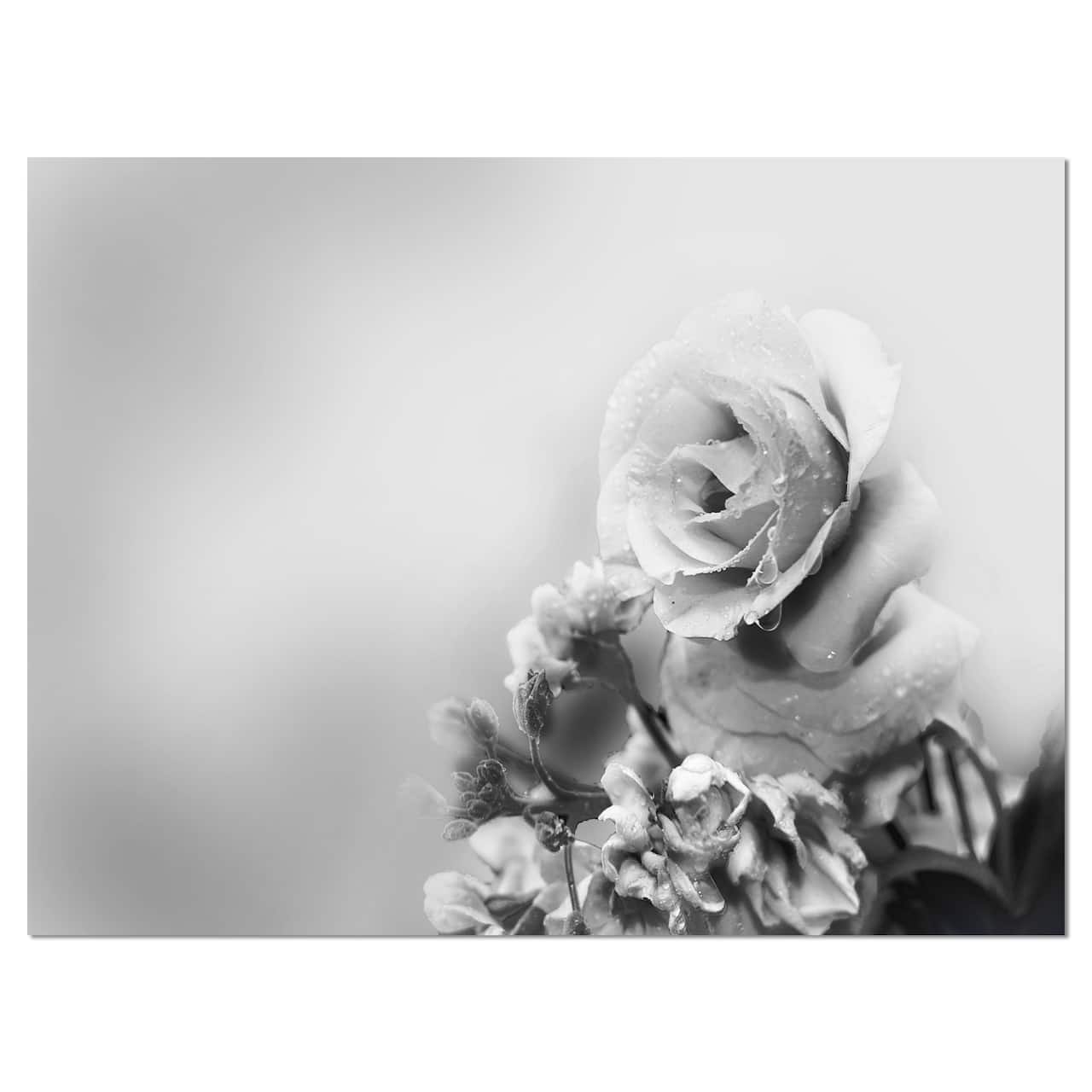 Designart - Black and White Rose in Spring. - Floral Canvas Art Print